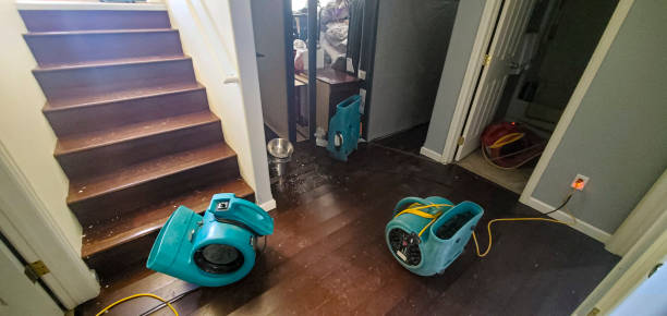 Best Water damage restoration near me  in Ceres, CA