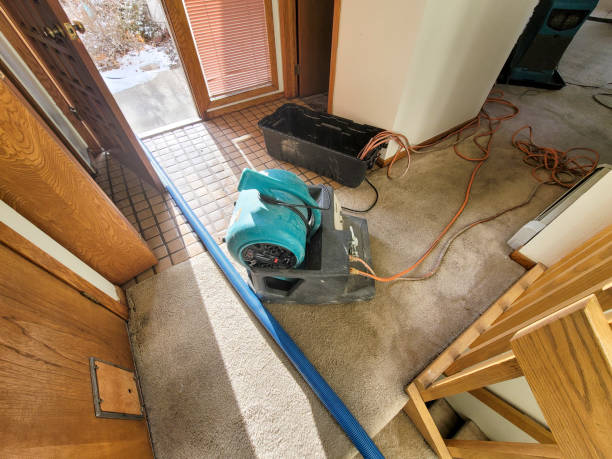 Best Carpet water damage restoration  in Ceres, CA