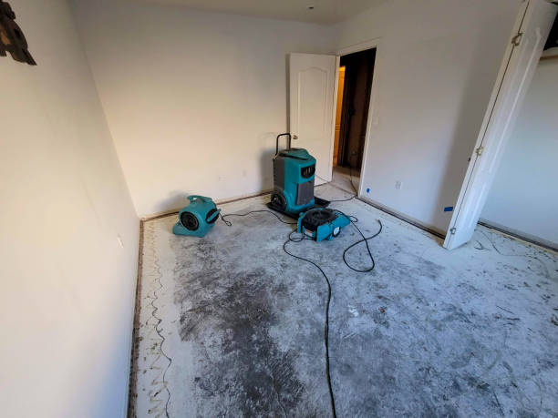 Best Water damage restoration near me  in Ceres, CA