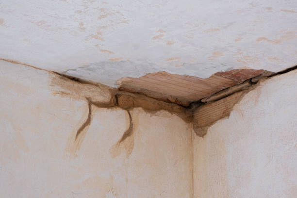 Best Professional water damage repair  in Ceres, CA