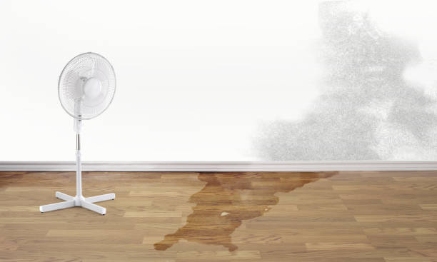 Best Water damage contractors near me  in Ceres, CA