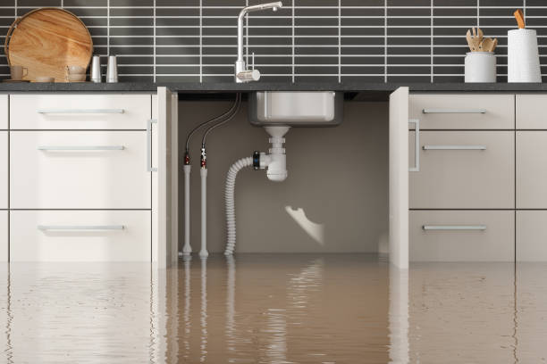 Best Mold removal after water damage  in Ceres, CA