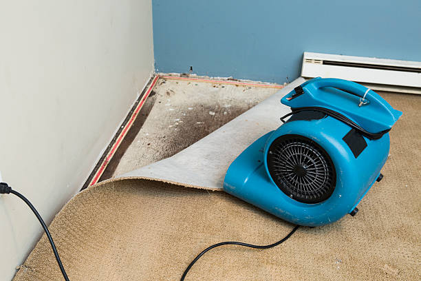 Best Ceiling water damage repair  in Ceres, CA
